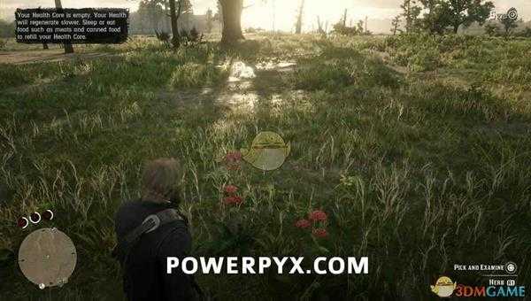 《荒野大镖客2》西洋蓍草采集位置介绍