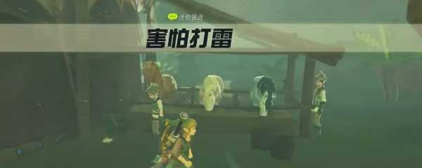 塞尔达害怕打雷任务