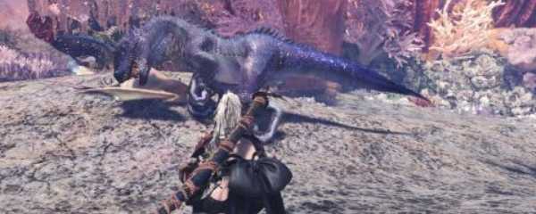 怪物猎人世界龙属性有什么用