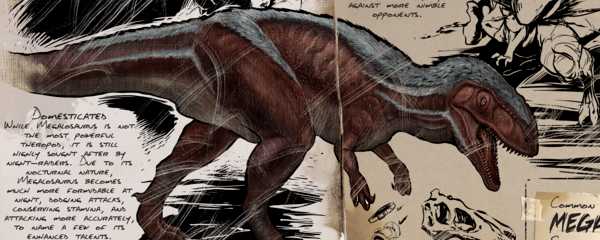 方舟斑龙有什么用