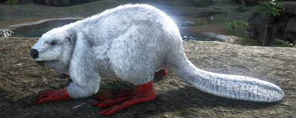 方舟巨河狸吃什么