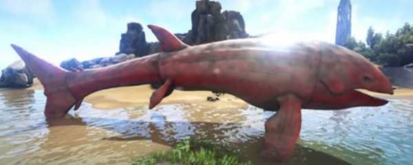 方舟利兹鱼有什么用