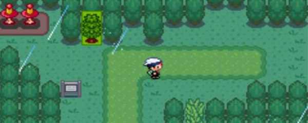 口袋妖怪z手环怎么用