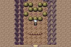 口袋妖怪海底洞窟怎么过