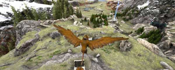 方舟狮鹫怎么训