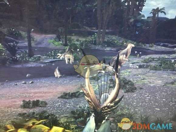 《怪物猎人：世界》柔毛秧鸡获取攻略