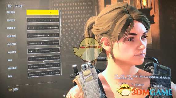 《全境封锁2》好看的捏脸数据一览