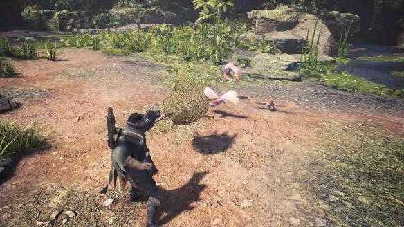 《怪物猎人：世界》鳞片蝙蝠在哪抓