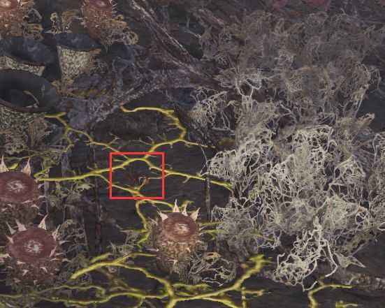 《怪物猎人：世界》暴君蚂蚱在哪抓