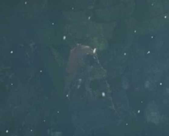 《只狼：影逝二度》主角狼及佛师关系分析