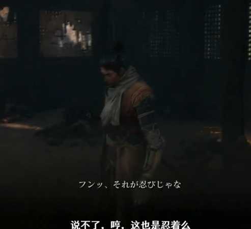 《只狼：影逝二度》主角狼及佛师关系分析