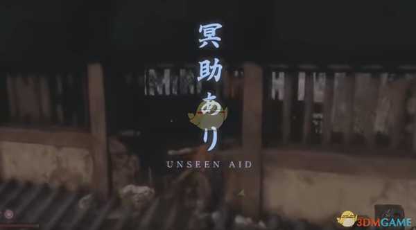 《只狼：影逝二度》葫芦种子作用介绍