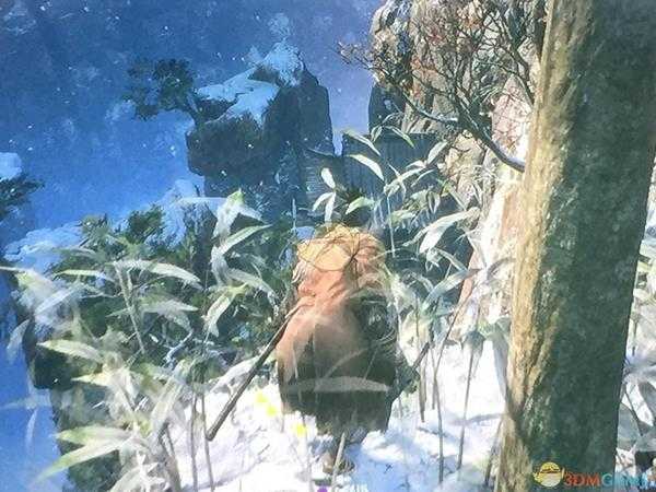 《只狼：影逝二度》隐藏BOSS无头位置分享