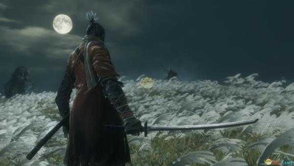 《只狼：影逝二度》前期快速刷经验方法分享