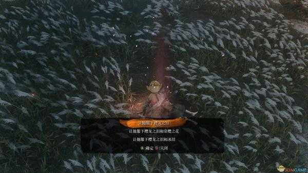 《只狼：影逝二度》一周目全结局达成攻略