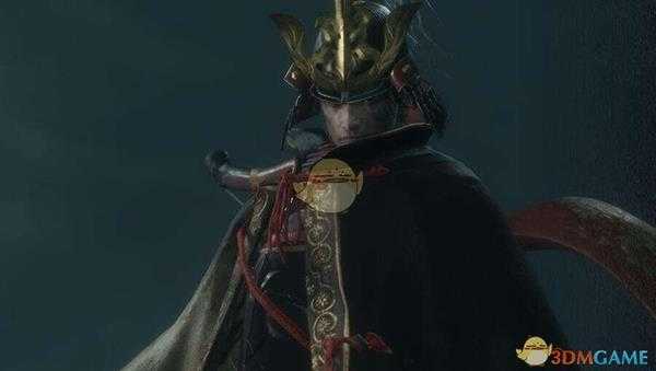 《只狼：影逝二度》药丸描述介绍