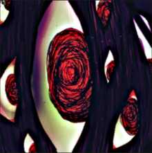 《脑叶公司》T-02-43 蜘蛛巢详细介绍