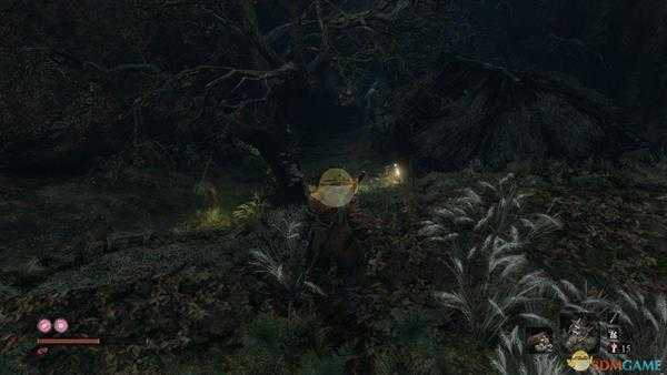 《只狼：影逝二度》松香获取位置分享