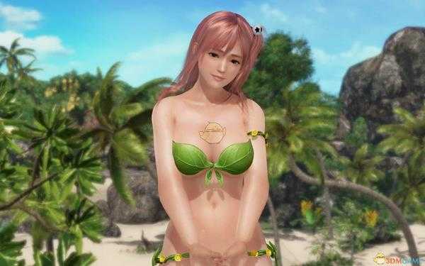 《死或生沙滩排球3：绯红》岛主等级对应解锁内容一览