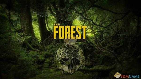 《森林》开局物资收集攻略