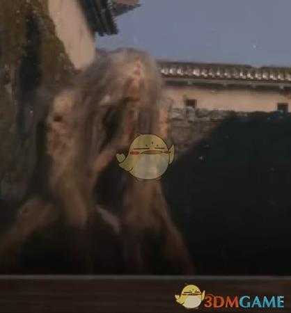 《只狼：影逝二度》支线人物一览