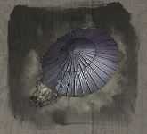 《只狼：影逝二度》忍义手功能大全一览