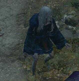 《只狼：影逝二度》水生村敌人分类汇总