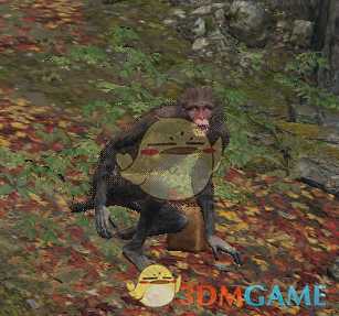 《只狼：影逝二度》坠落之谷敌兵种类汇总