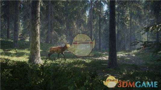 《猎人：荒野的呼唤》枪械面板属性详解