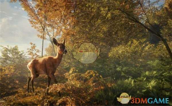 《猎人：荒野的呼唤》步枪配合主动技能推荐