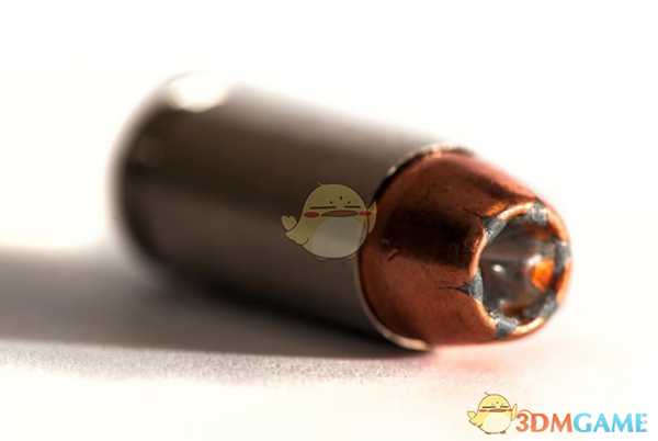 《猎人：荒野的呼唤》手枪弹药详解