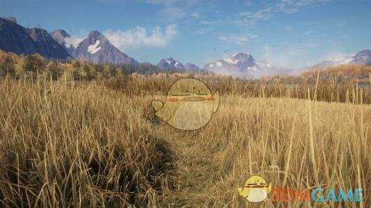 《猎人：荒野的呼唤》步枪弹药详解