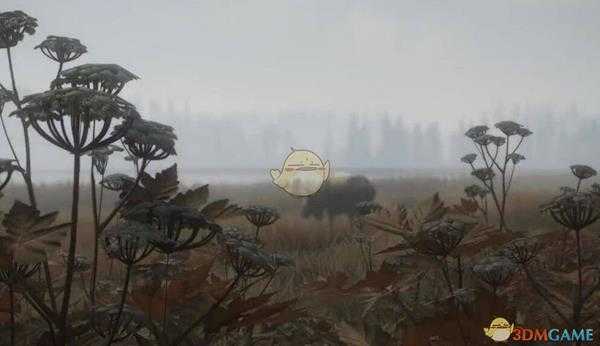 《猎人：荒野的呼唤》空腔效应详解 穿透伤贯穿伤介绍