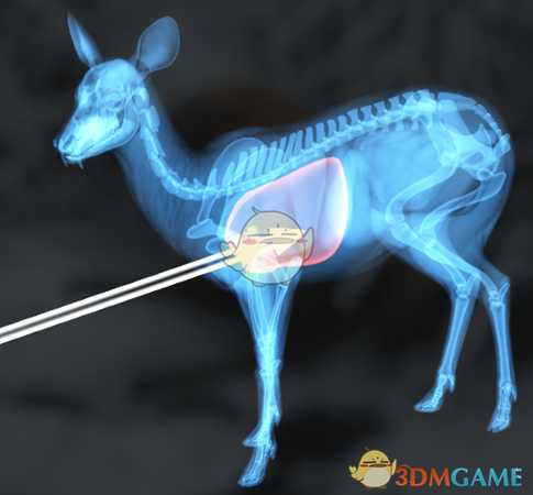 《猎人：荒野的呼唤》西伯利亚原麝＆狍鹿步枪速杀攻略