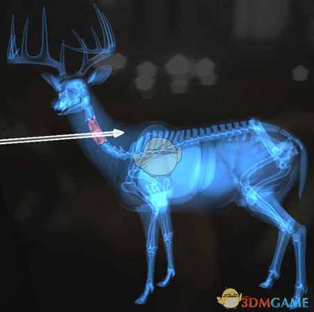 《猎人：荒野的呼唤》黄鹿＆黑尾鹿＆白尾鹿步枪速杀攻略