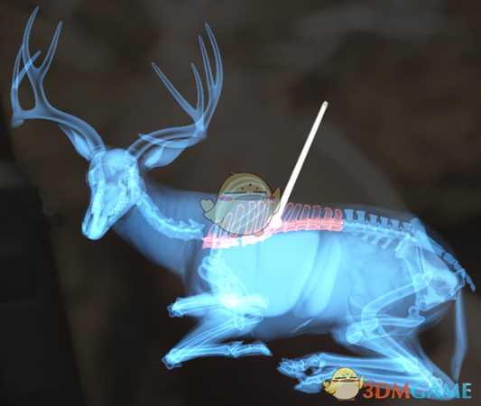 《猎人：荒野的呼唤》黄鹿＆黑尾鹿＆白尾鹿步枪速杀攻略