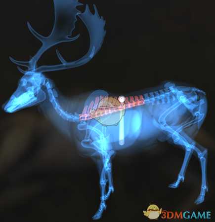 《猎人：荒野的呼唤》黄鹿＆黑尾鹿＆白尾鹿步枪速杀攻略