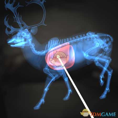 《猎人：荒野的呼唤》驯鹿＆赤鹿步枪速杀攻略