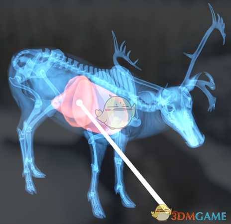 《猎人：荒野的呼唤》驯鹿＆赤鹿步枪速杀攻略