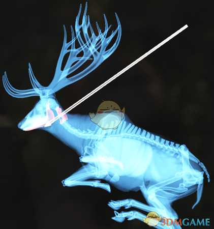 《猎人：荒野的呼唤》驯鹿＆赤鹿步枪速杀攻略