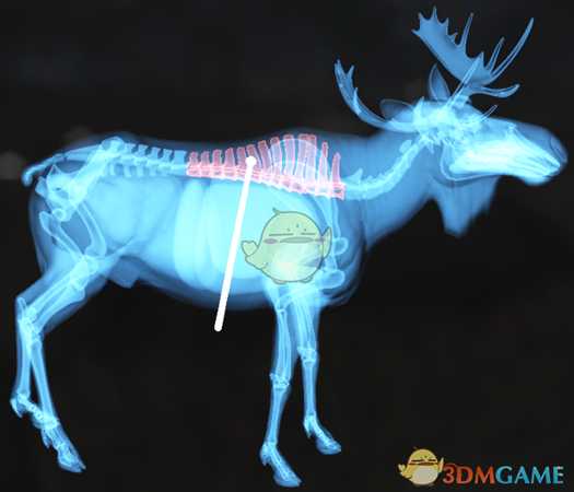 《猎人：荒野的呼唤》罗斯福麋鹿＆驼鹿步枪速杀攻略