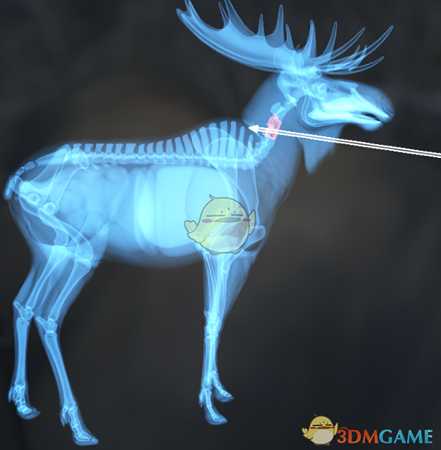 《猎人：荒野的呼唤》罗斯福麋鹿＆驼鹿步枪速杀攻略