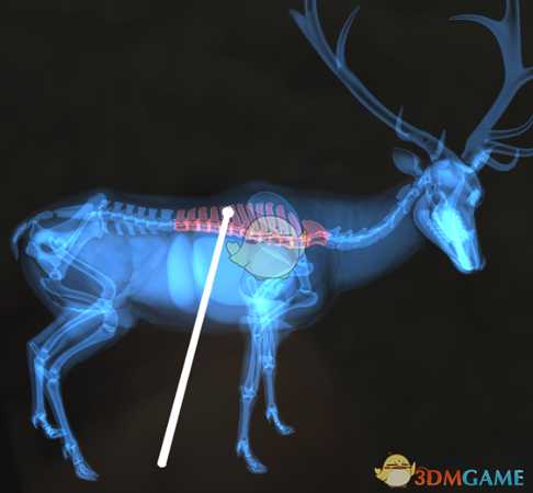 《猎人：荒野的呼唤》罗斯福麋鹿＆驼鹿步枪速杀攻略