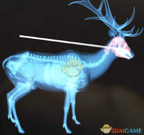 《猎人：荒野的呼唤》罗斯福麋鹿＆驼鹿步枪速杀攻略