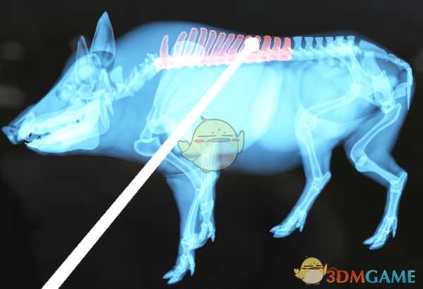 《猎人：荒野的呼唤》野猪步枪速杀攻略