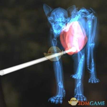 《猎人：荒野的呼唤》美洲狮步枪速杀攻略