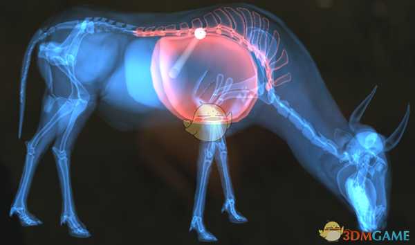《猎人：荒野的呼唤》蓝角马步枪速杀攻略