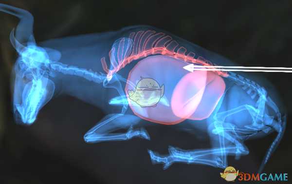 《猎人：荒野的呼唤》蓝角马步枪速杀攻略