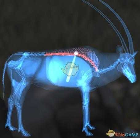 《猎人：荒野的呼唤》南非剑羚步枪速杀攻略