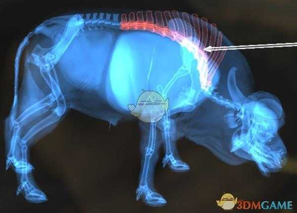 《猎人：荒野的呼唤》欧洲野牛＆水牛步枪速杀攻略